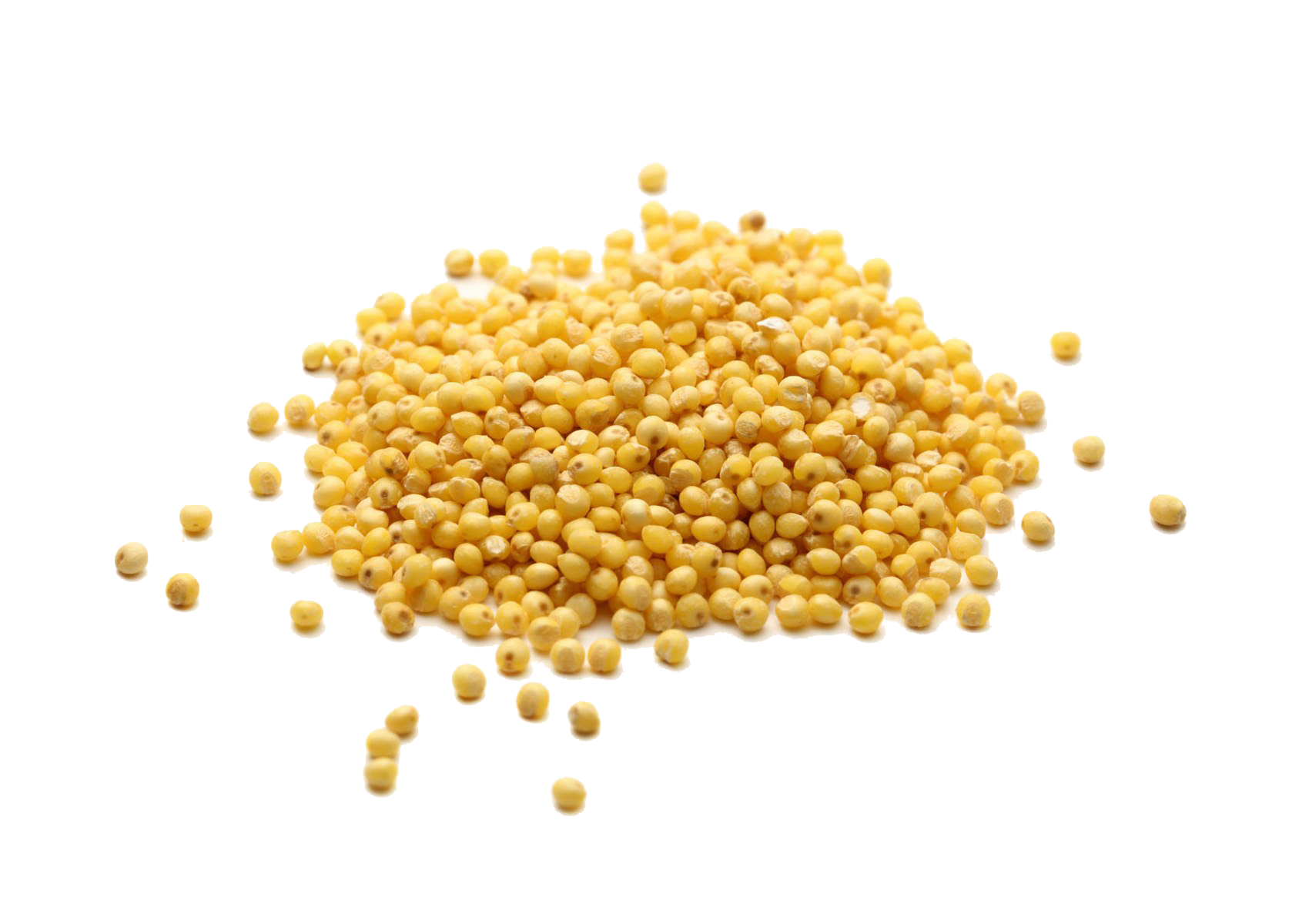 Millet PNG High-Quality Image