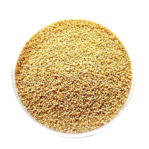 Millet PNG Pic