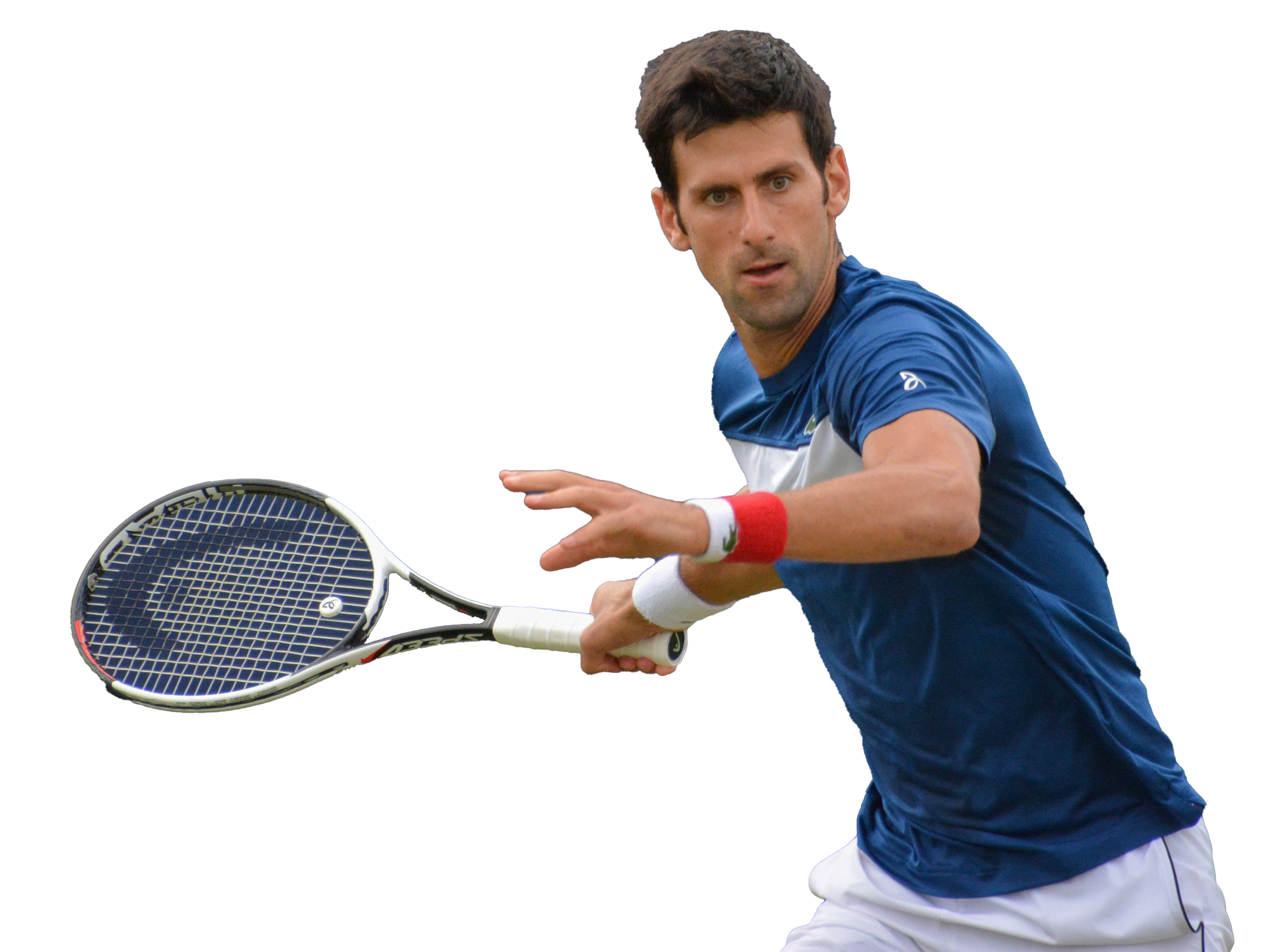 Novak Djokovic Transparent Background PNG