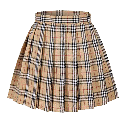 Plaid Skirt PNG High-Quality Image