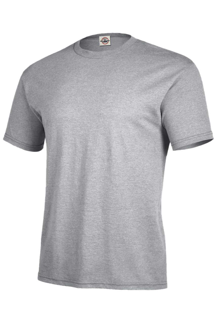 T-shirt cinza simples PNG Pic