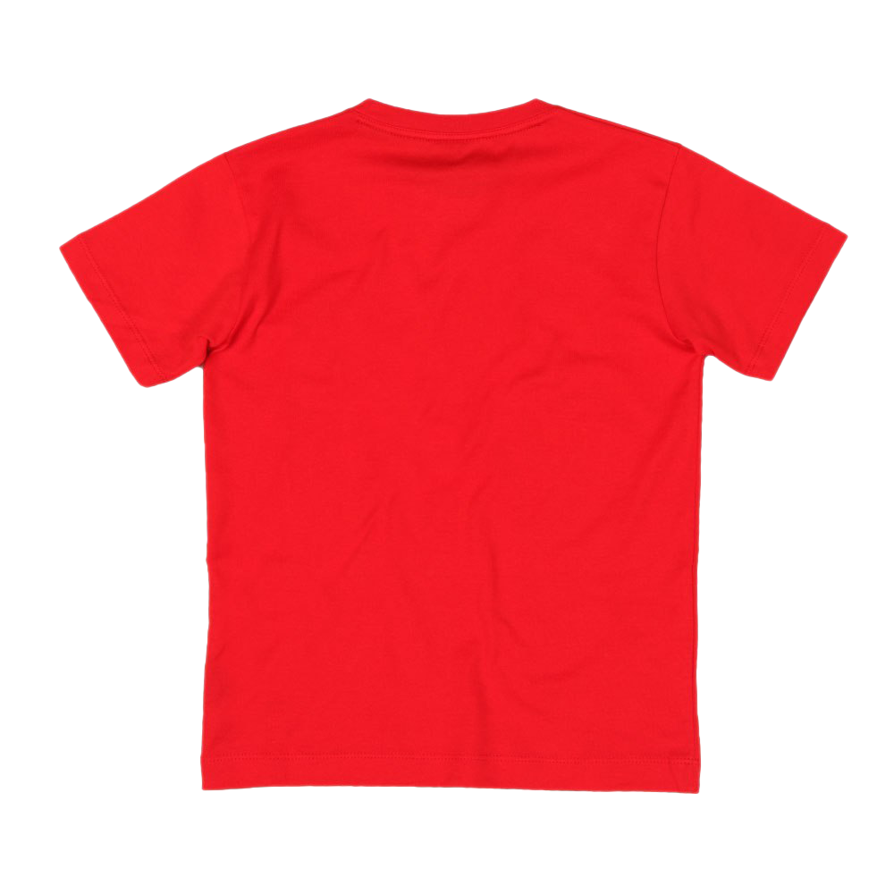 Простая красная футболка PNG Pic