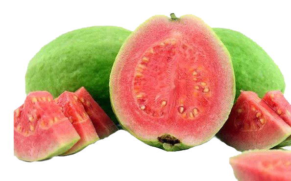 Red Guava PNG Image Background
