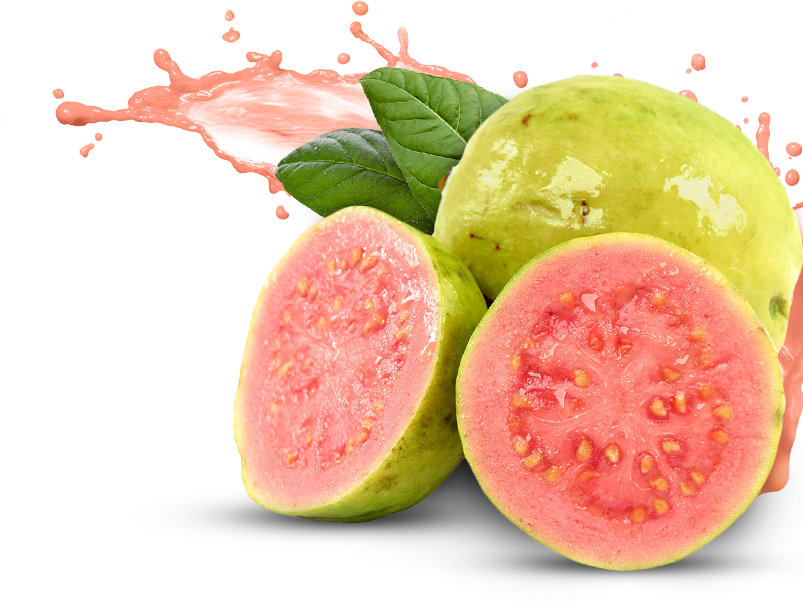 Red Guava PNG Image
