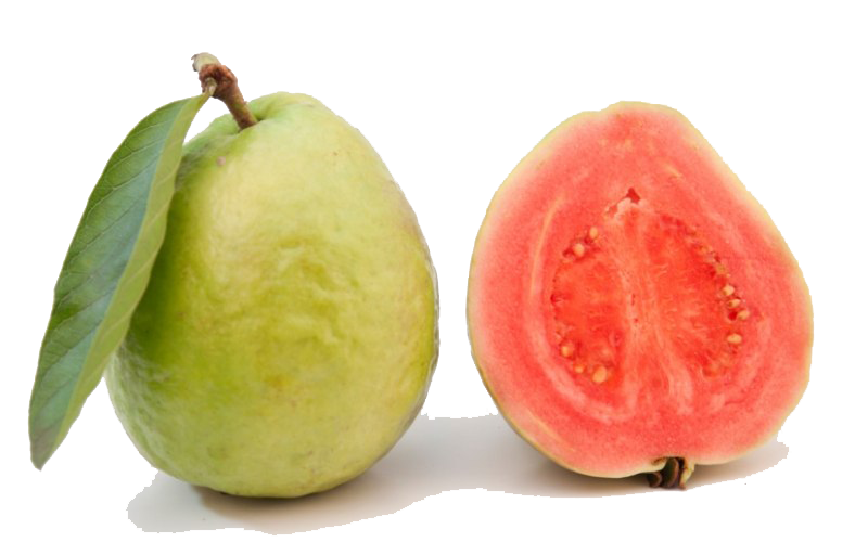 Red Guava PNG Transparent Image