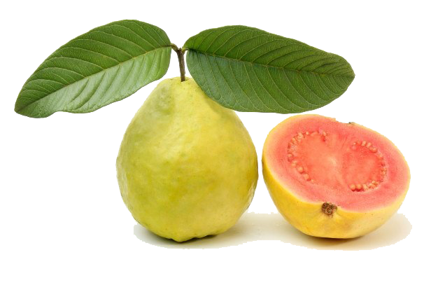 Red Guava Transparent Image