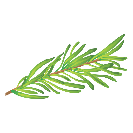 Rosemary GRATUIt PNG image