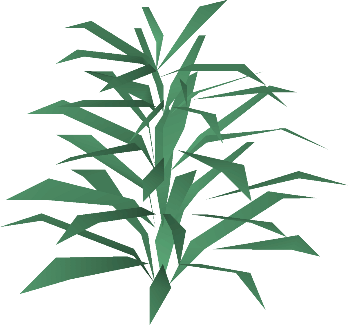 Rosemary PNG Image Background