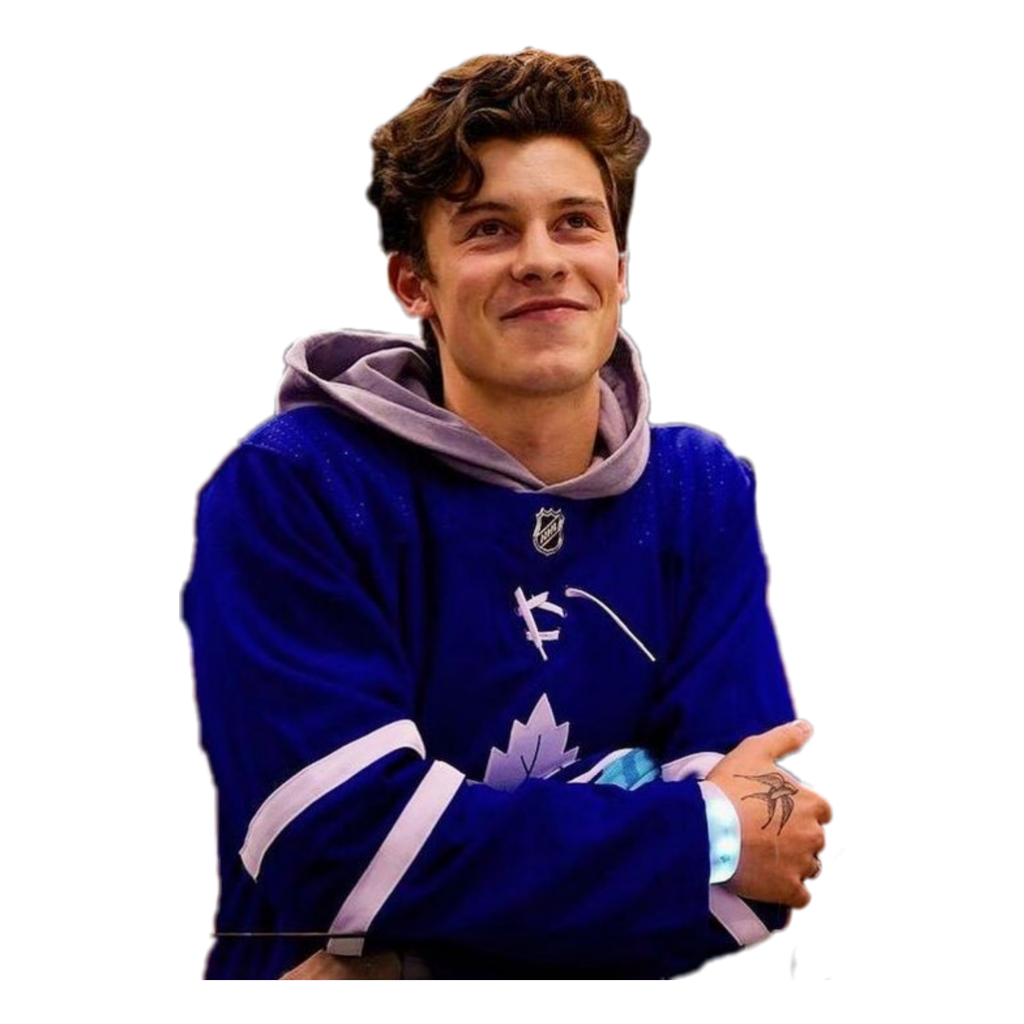 Shawn Mendes PNG Image