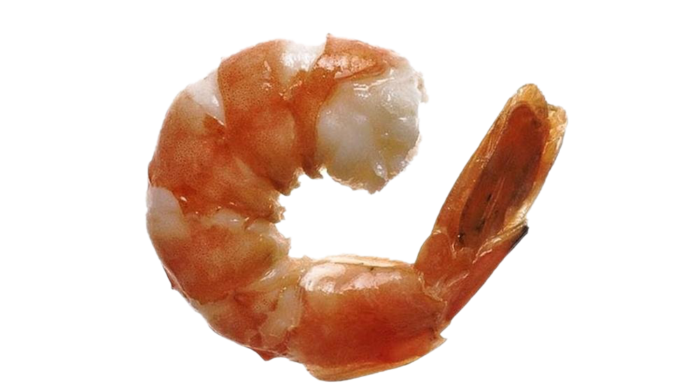 Shrimp Transparent Image