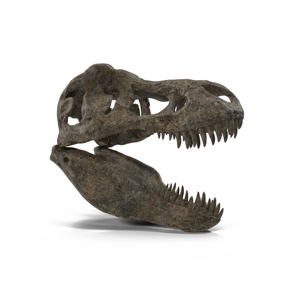 T-Rex PNG High-Quality Image