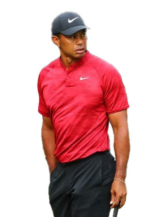 Tiger Woods PNG Baixar Imagem