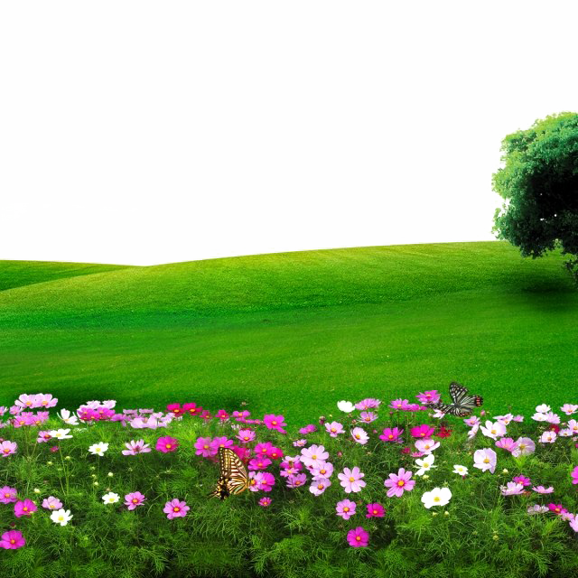 Town Landscape PNG Image Background
