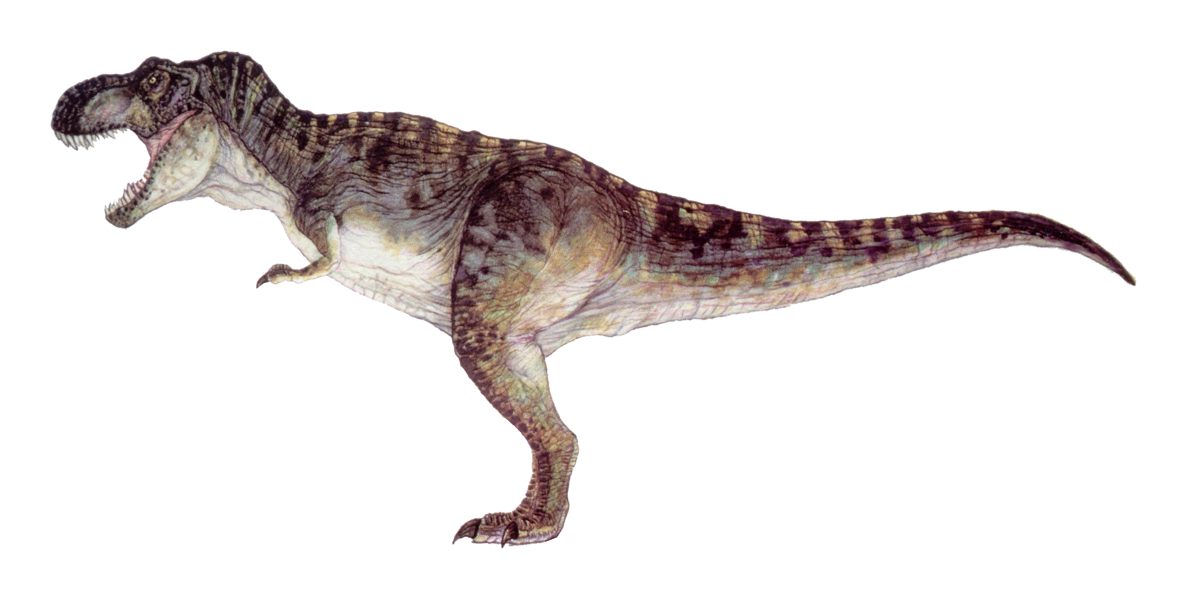 Tyrannosaurus Rex Download PNG Image
