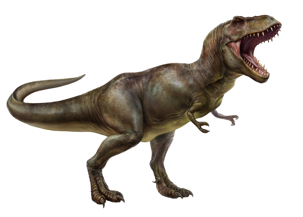Tyrannosaurus Rex Download Transparent PNG Image