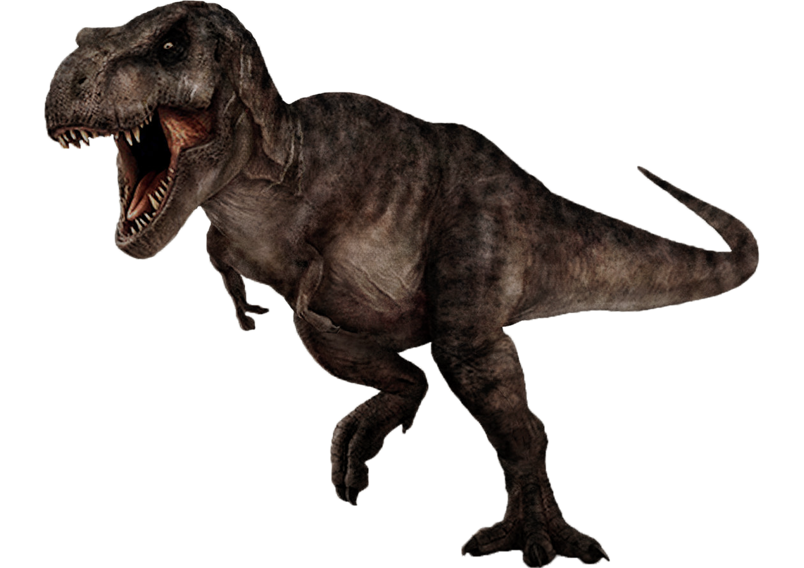 Tyrannosaurus Rex PNG Image Transparent Background