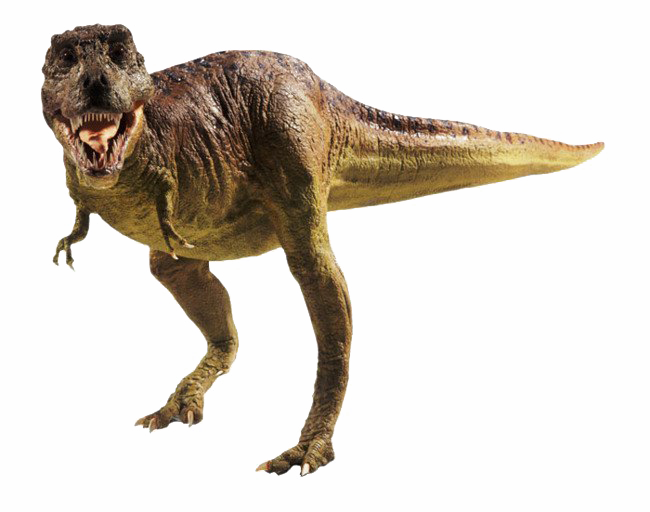 Tyrannosaurus Rex PNG Image Transparent