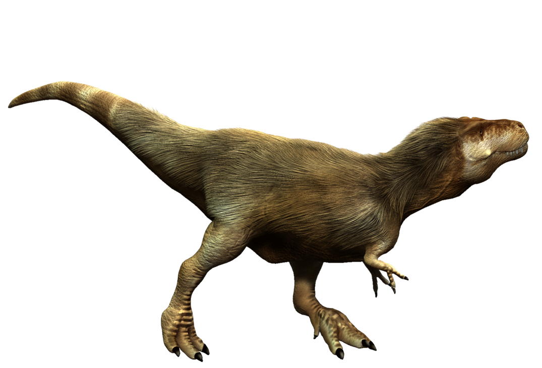 Tyrannosaurus Rex PNG صورة
