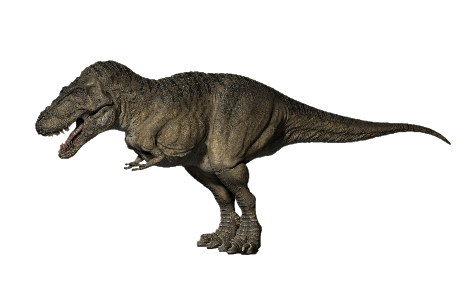 Tyrannosaurus Rex PNG Pic