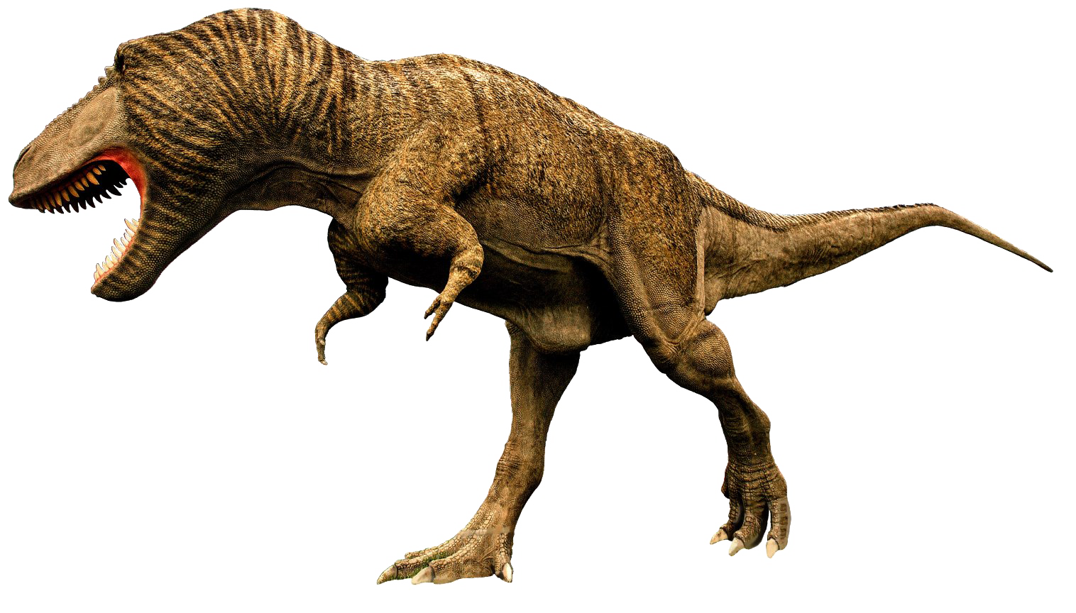 Tyrannosaurus Rex PNG Picture