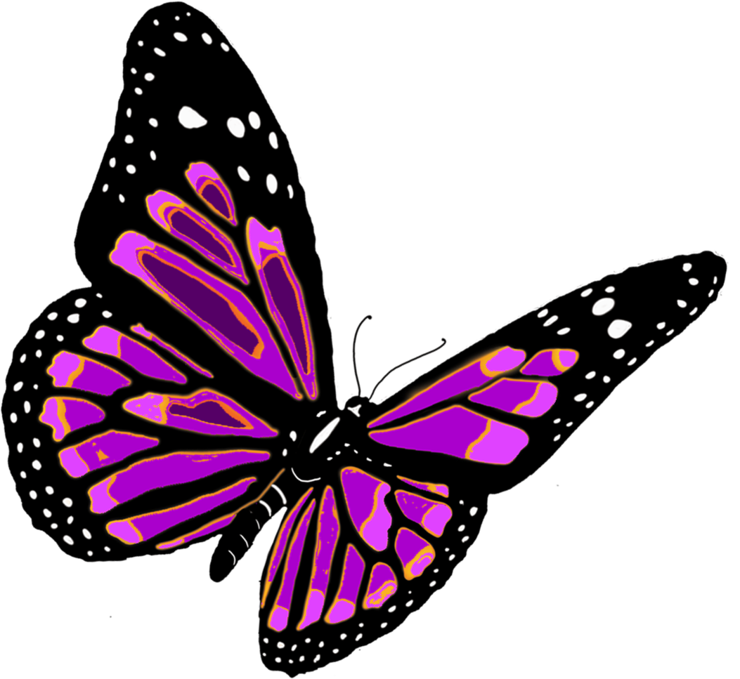 Animated Butterfly Free PNG Image