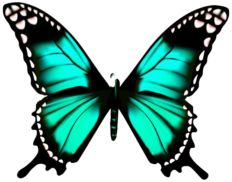 Animated Butterfly PNG High-Quality Image