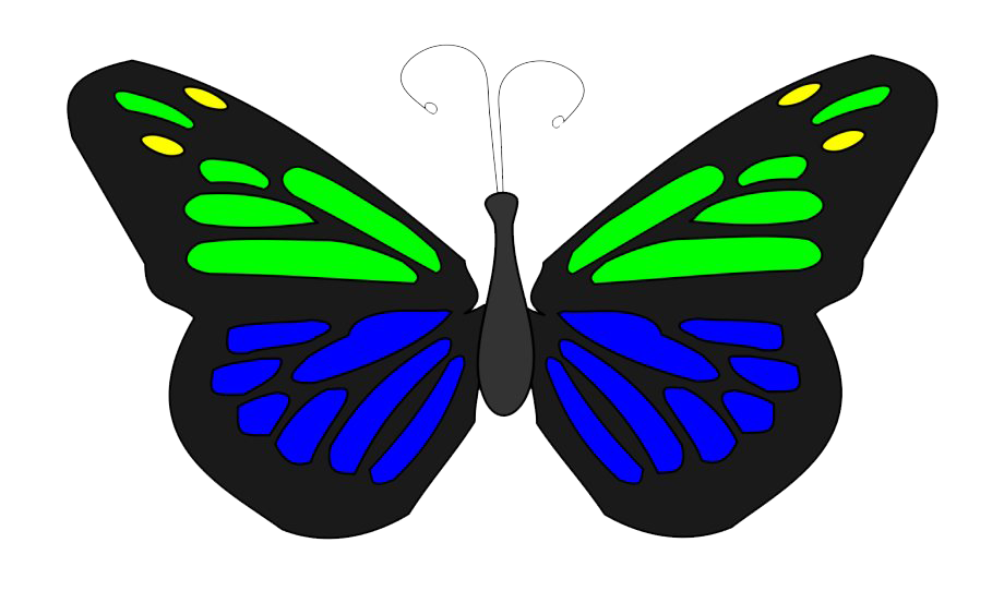 Animated Butterfly PNG Photo
