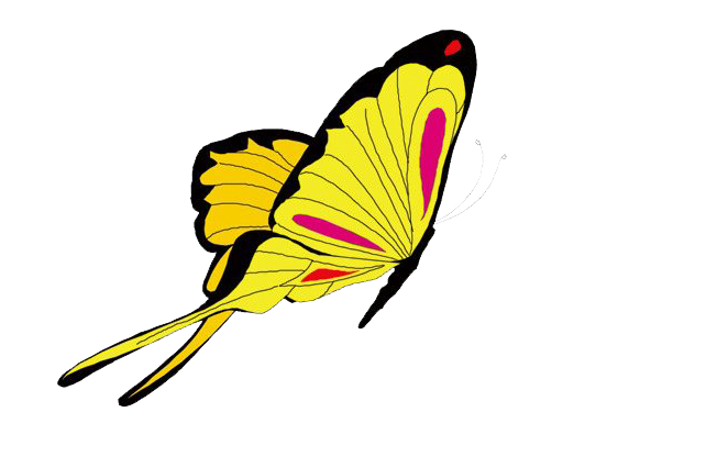 Анимированная бабочка PNG картина