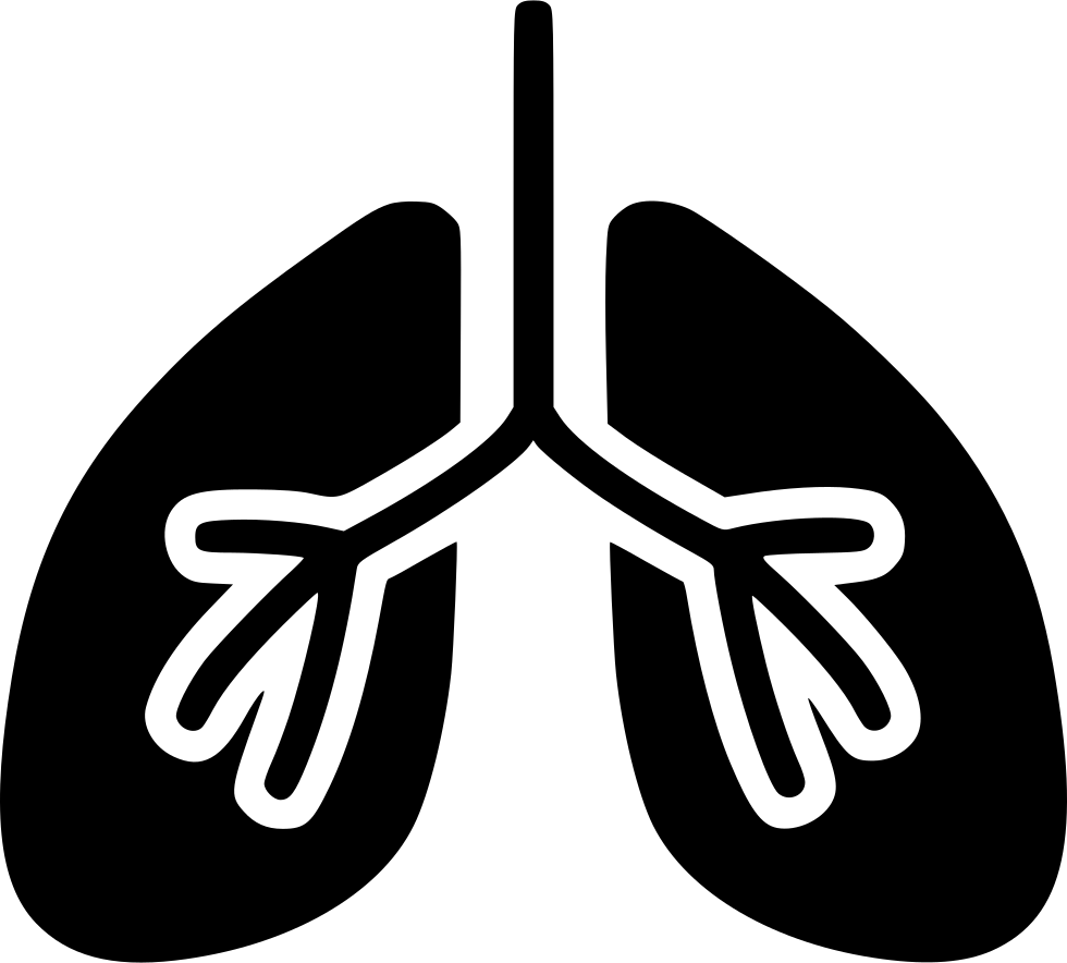 Animated Lungs PNG Free Download