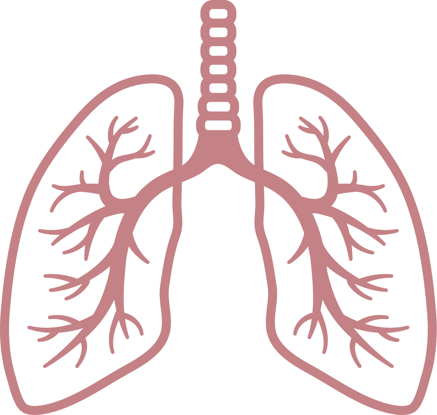 Animated Lungs PNG Picture | PNG Arts