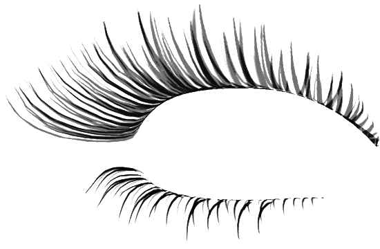 Artificial Lashes PNG Image Background