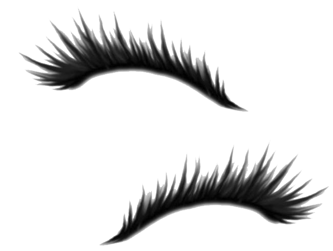 Artificial Lashes PNG Photo