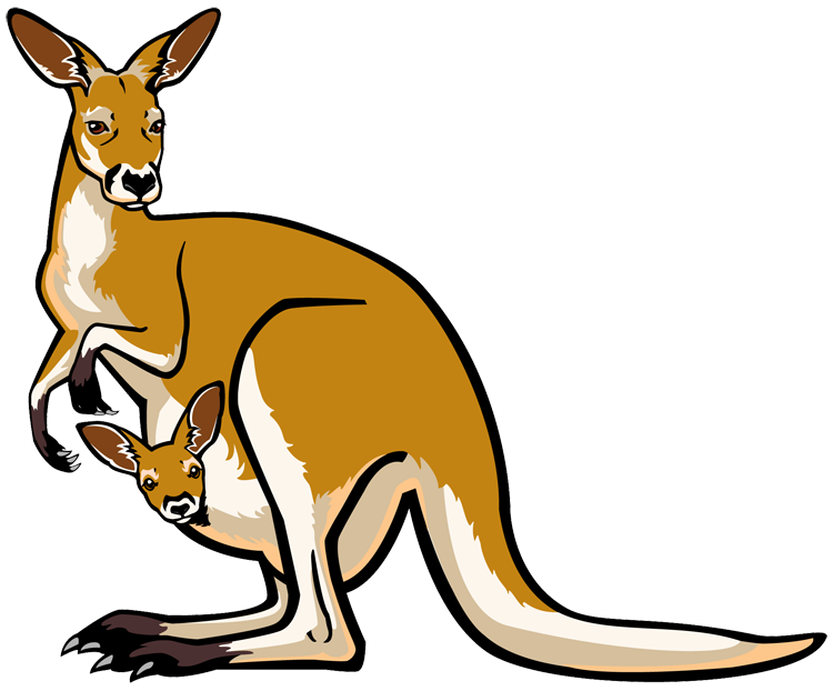 Imagen australiana de Kangaroo PNG de alta calidad