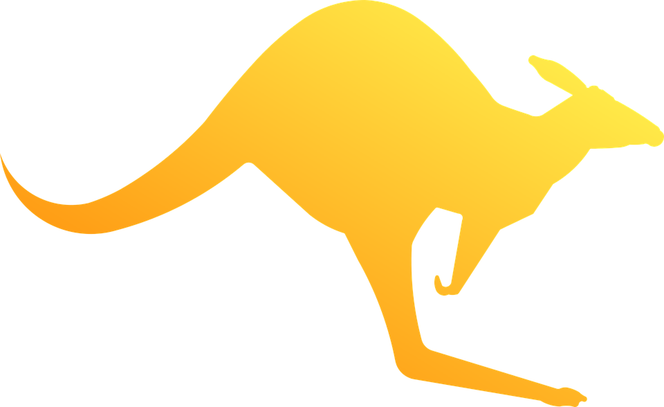 Австралийский кенгуру PNG картина