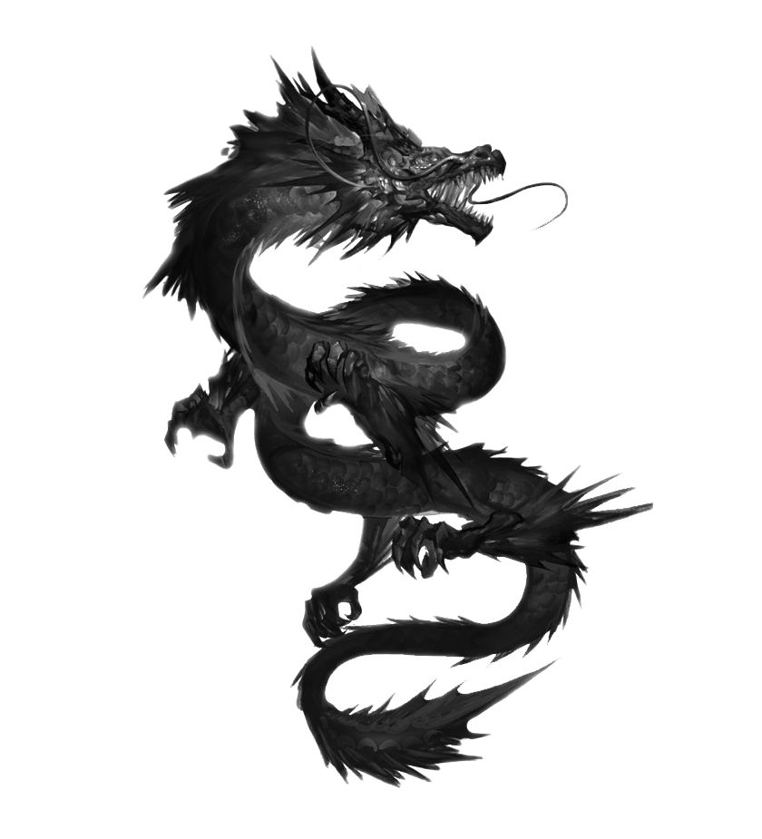 Black Dragon PNG-Afbeelding