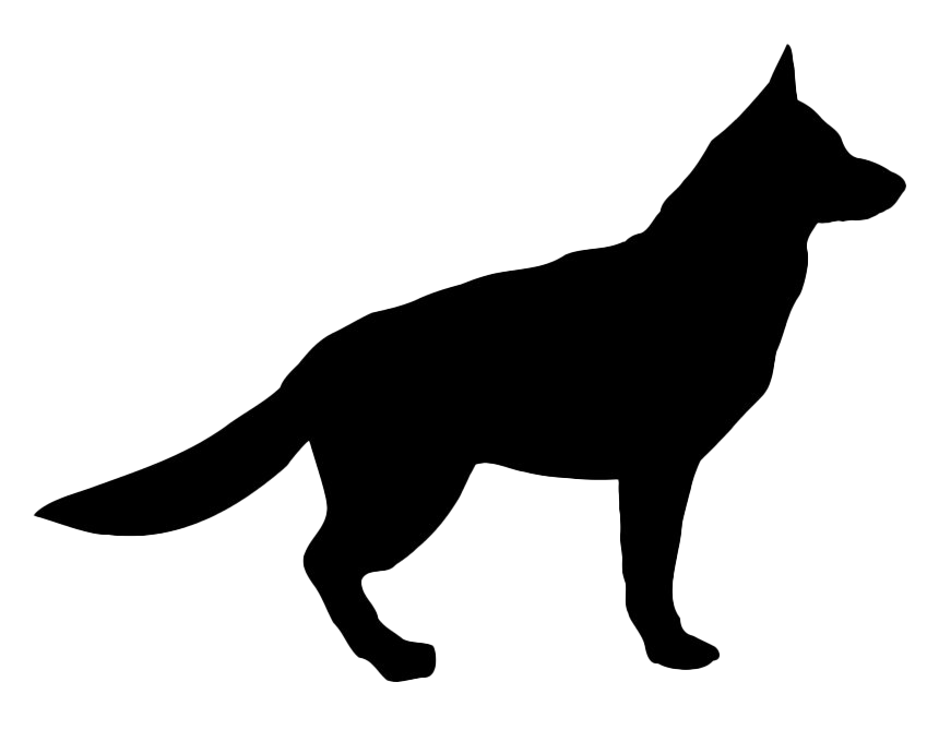 Черное немецкое овчарку прозрачное изображение