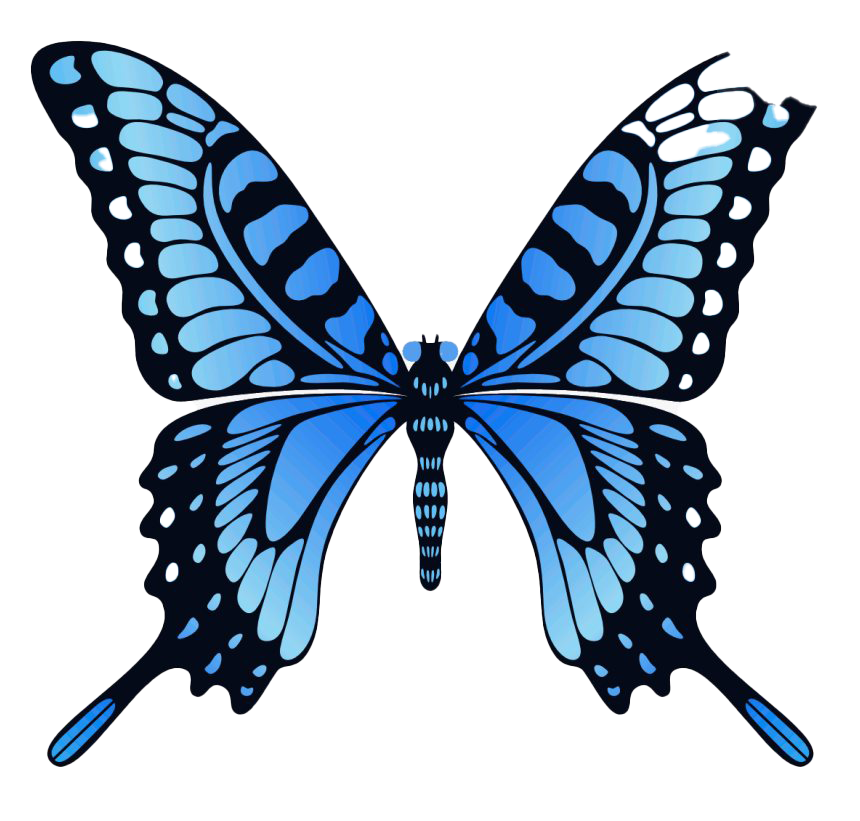 Blue Animated Butterfly PNG Image Background