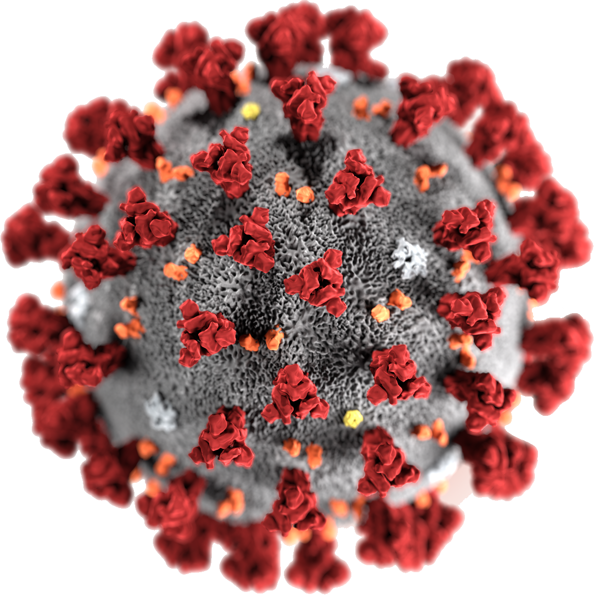 COVID-19 Coronavirus Download Transparent PNG Image