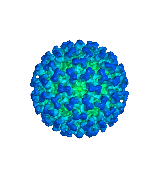 COVID-19 Coronavirus PNG Download Image