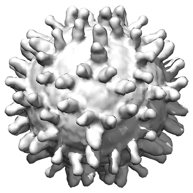 COVID-19 Coronavirus PNG Image Transparent Background