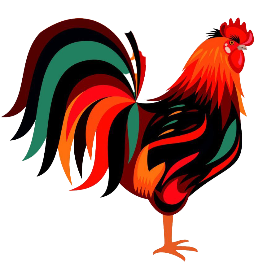 Cock PNG Gambar latar belakang Transparan