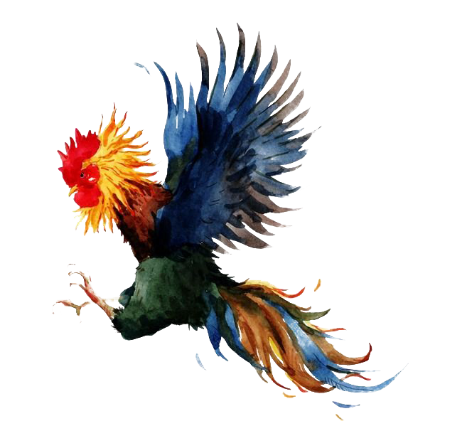 Cock PNG Photo