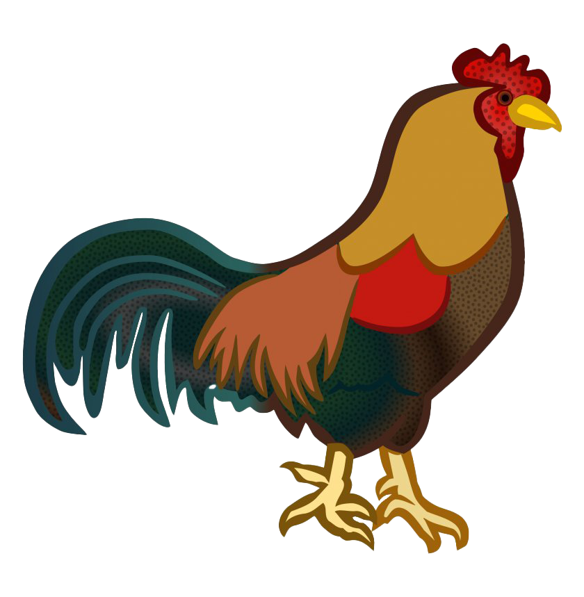 Cock PNG Pic