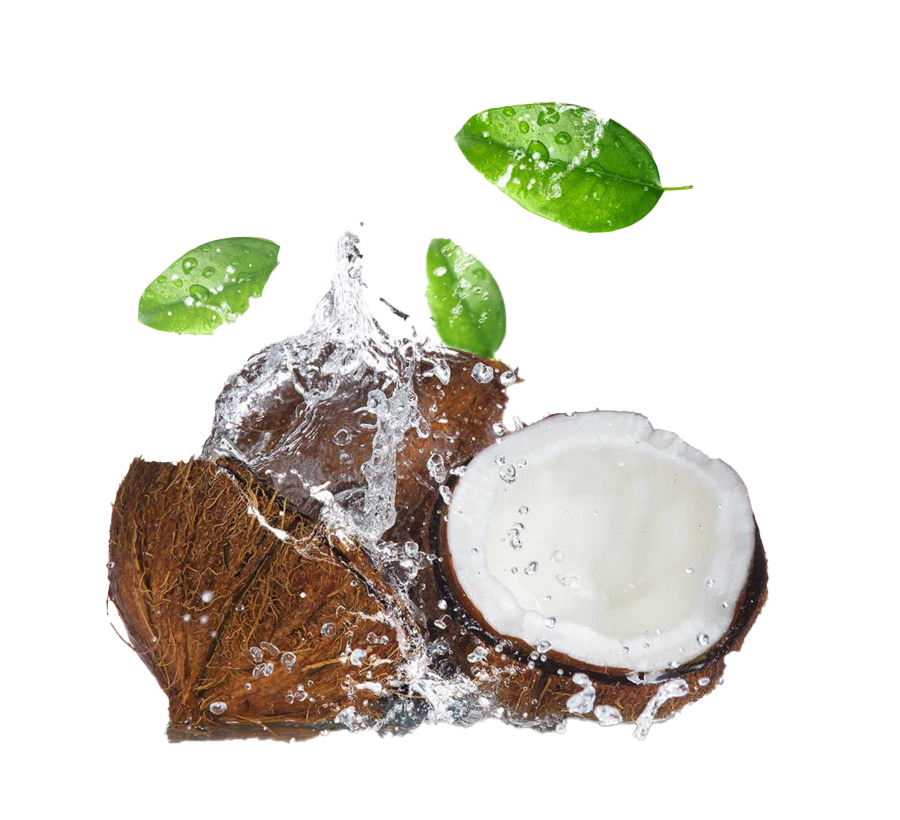 Gambar PNG Splash Air Coconut