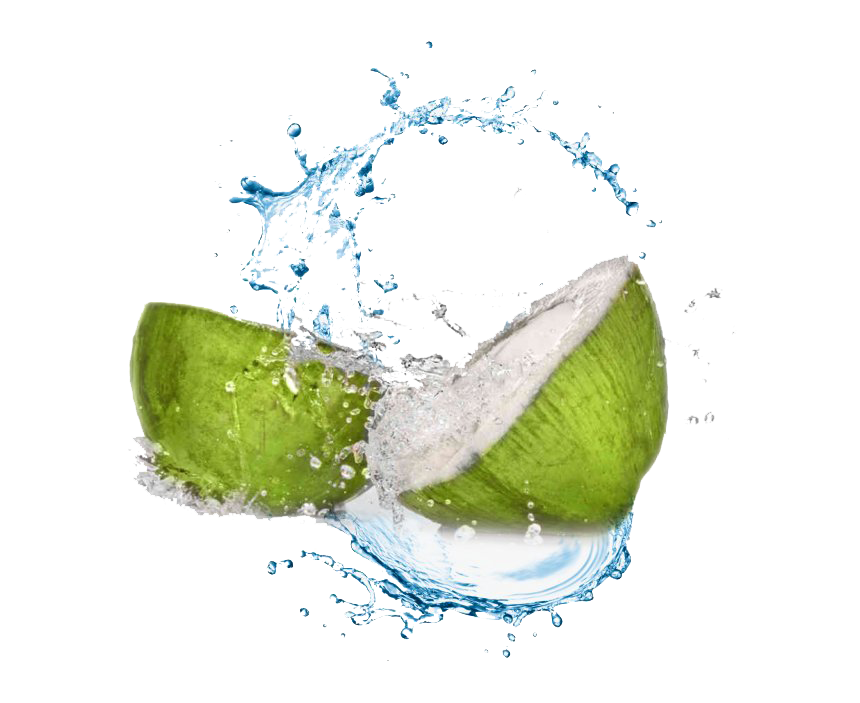 Coconut Water Splash PNG Gambar Transparan