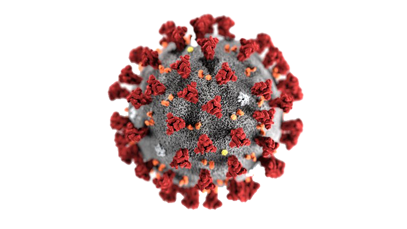 Coronavirus PNG Background Image