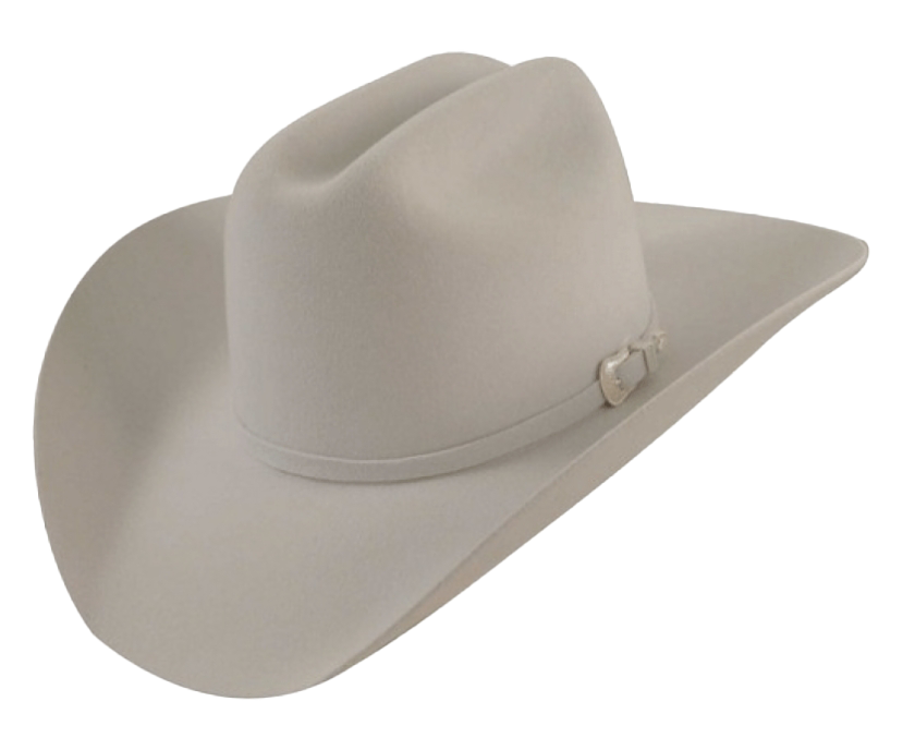 Sombrero de vaquero de lujo imagen PNG gratis