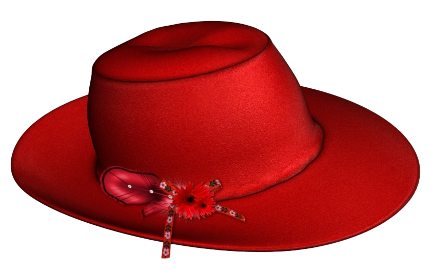 Sombrero de vaquero de lujo PNG photo