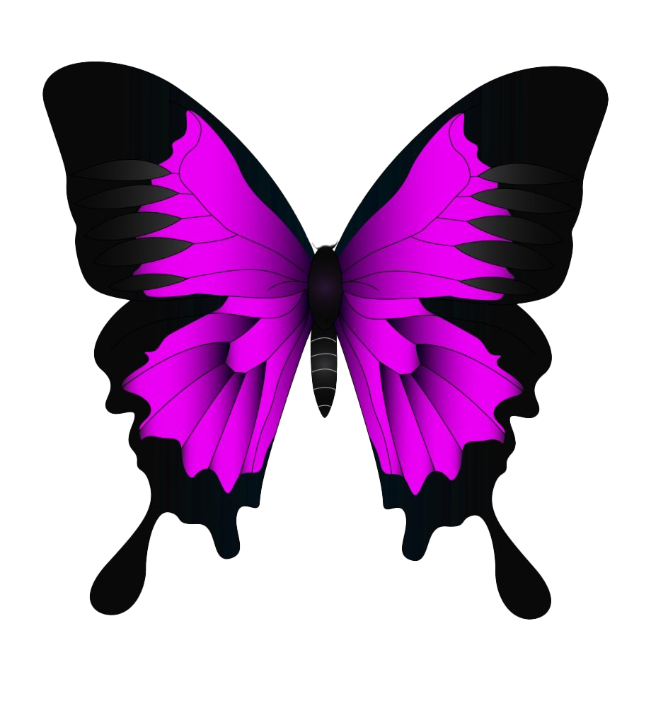 Flying Pink Butterfly PNG Free Download