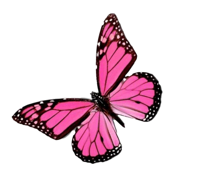 Fliegender rosa Schmetterling PNG-Bildhintergrund